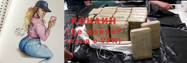 прущие грибы Беломорск