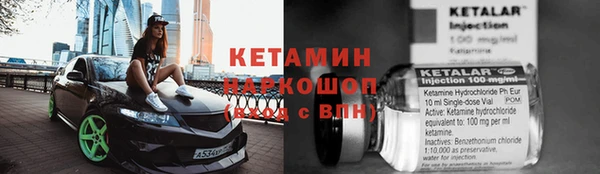 прущие грибы Беломорск