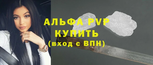 прущие грибы Беломорск
