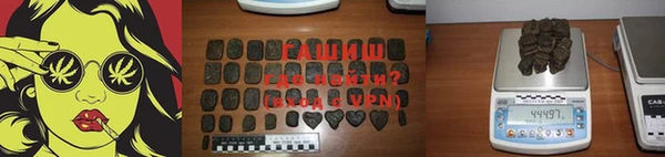 прущие грибы Беломорск