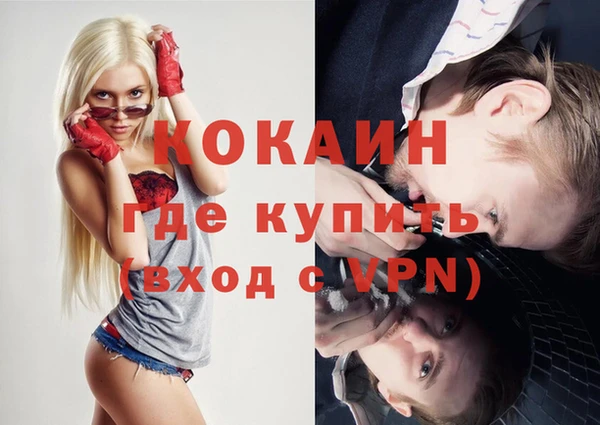 прущие грибы Беломорск