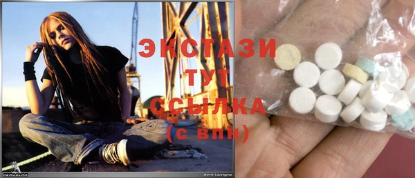 прущие грибы Беломорск